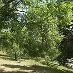 Feissesberghof * تيبرغ