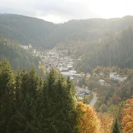 Feissesberghof *