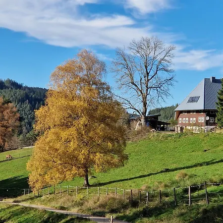 Feissesberghof Daire