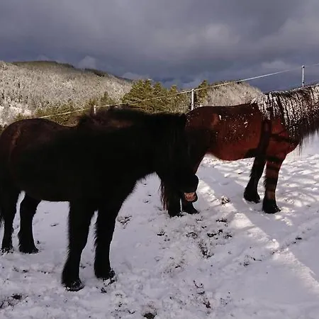 Apartamento Feissesberghof